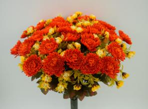 Chrysanthemum in Autumn Colors X 33