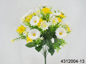 Daffodil, Daisy X 13