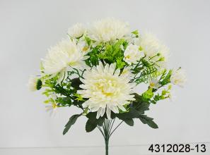 Chrysanthemum X 13 