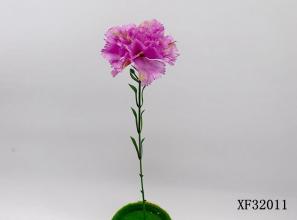 Single Carnation in Multiple Colors