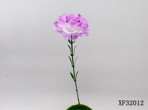 Single Carnation in Multiple Colors