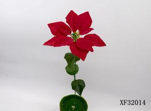 Single Velvet Poinsettia