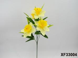 Daffodil Branch X 5