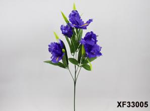 Iris Branch X 5