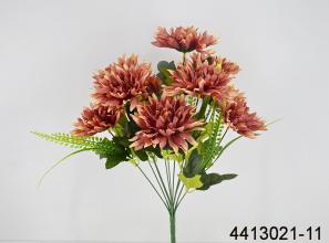 Chrysanthemum X 11