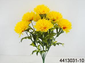 Chrysanthemum X 10