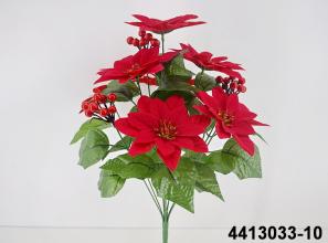 Poinsettia, Berry X 10