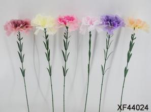 Single Carnation